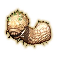 Chewchum Popoto