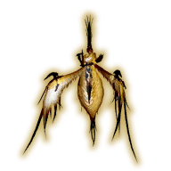siren piece