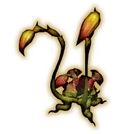 ochu piece